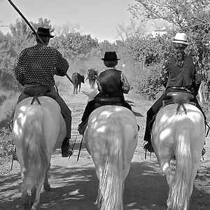  Bed & Breakfast Mas Du Menage En Camargue Manade Clauzel Francia